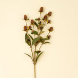 Globe Amaranth Spray, Set of 24 by Mercana at Eve Furniture
