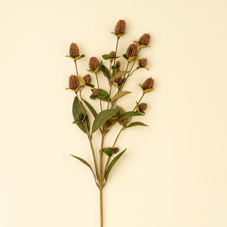 Globe Amaranth Spray, Set of 24 by Mercana at Eve Furniture