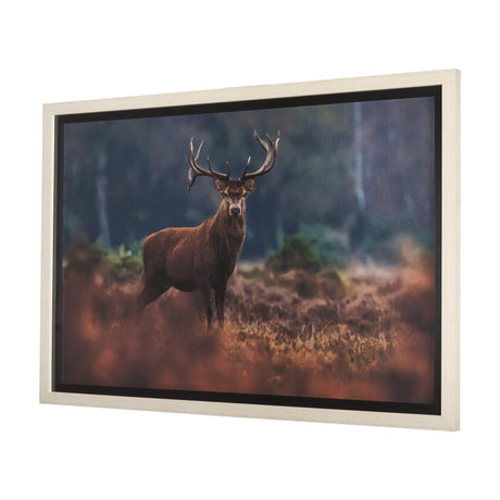Glorious Stag by Mercana Studio a Hand Embellished Textured Framed Photo Art Print Matted under Glas by Mercana at Eve Furniture