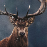 Glorious Stag by Mercana Studio a Hand Embellished Textured Framed Photo Art Print Matted under Glas by Mercana at Eve Furniture