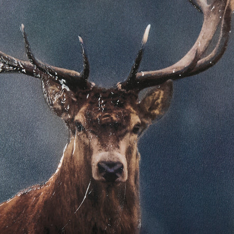 Glorious Stag by Mercana Studio a Hand Embellished Textured Framed Photo Art Print Matted under Glas by Mercana at Eve Furniture