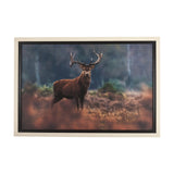 Glorious Stag by Mercana Studio a Hand Embellished Textured Framed Photo Art Print Matted under Glas by Mercana at Eve Furniture
