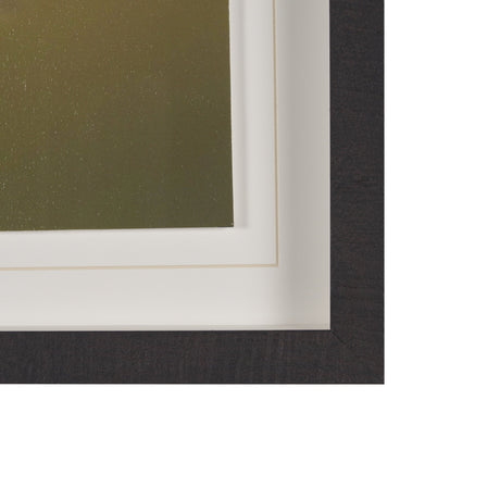 Glowing by Stig Kalvelid a Hand Embellished Framed Photo Art Print Matted under Glass by Mercana at Eve Furniture