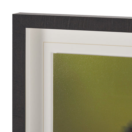Glowing by Stig Kalvelid a Hand Embellished Framed Photo Art Print Matted under Glass by Mercana at Eve Furniture