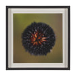 Glowing by Stig Kalvelid a Hand Embellished Framed Photo Art Print Matted under Glass by Mercana at Eve Furniture