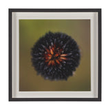 Glowing by Stig Kalvelid a Hand Embellished Framed Photo Art Print Matted under Glass by Mercana at Eve Furniture