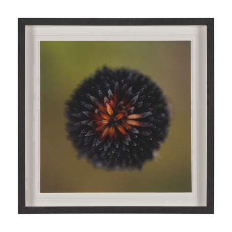 Glowing by Stig Kalvelid a Hand Embellished Framed Photo Art Print Matted under Glass by Mercana at Eve Furniture