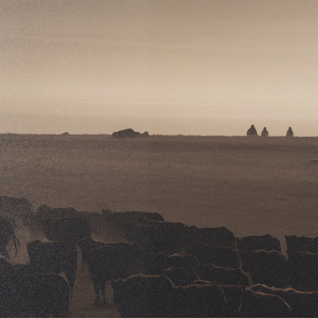 Golden Hour Cowboy Herd by Andreas Magnusson Textured FramedPhoto Print Matted under Glass by Mercana at Eve Furniture