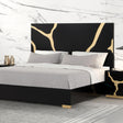 Goldsberg Black/Gold King Panel Bed by Furniture of America at Eve Furniture