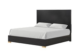 Goldsberg Black Queen Panel Bed by Furniture of America at Eve Furniture