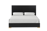 Goldsberg Black Queen Panel Bed by Furniture of America at Eve Furniture