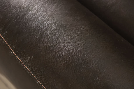 Gorgius Espresso Top Grain Leather Match Power Reclining Sofa & Loveseat by Furniture of America at Eve Furniture