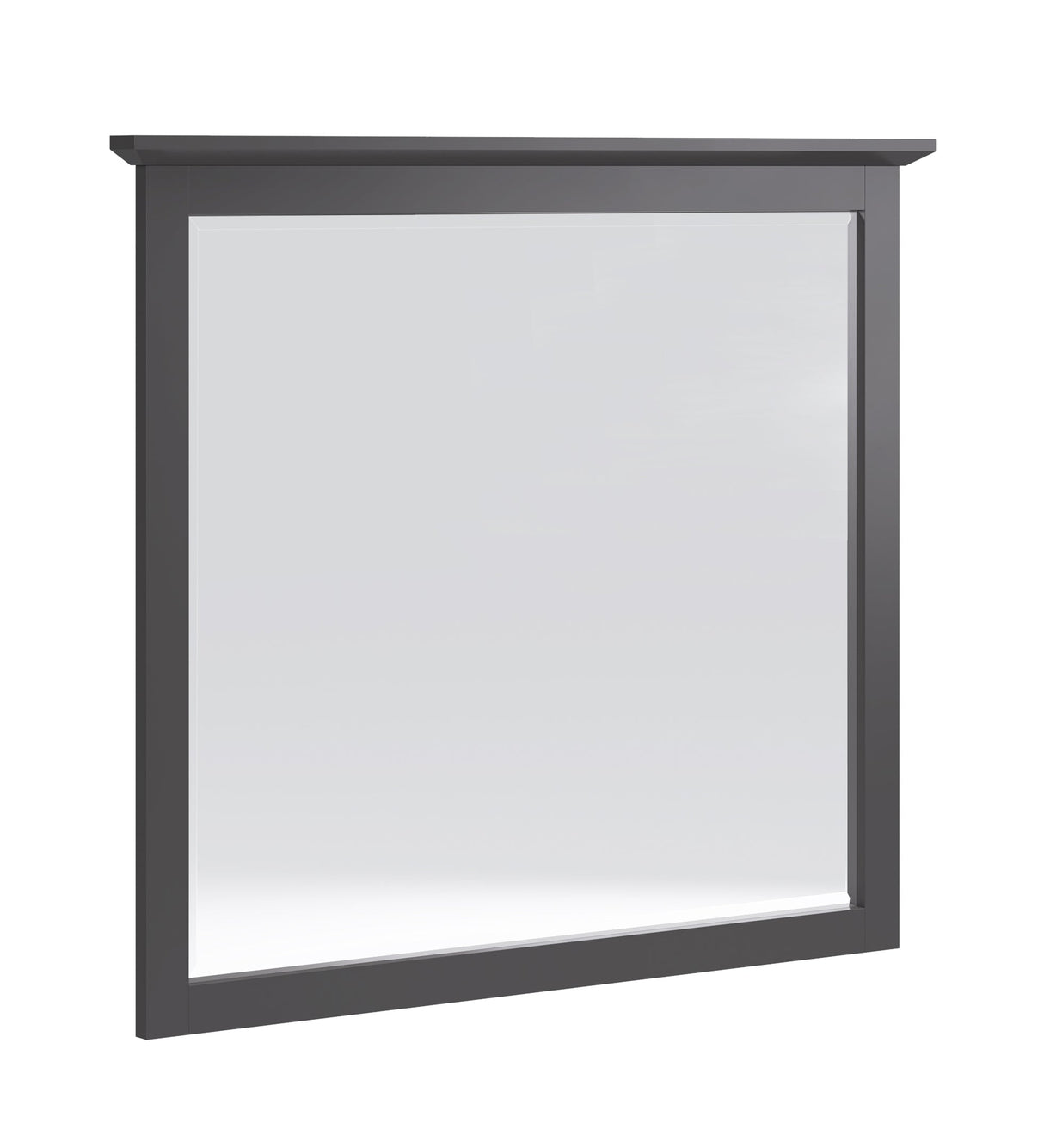 Grace Wall or Dresser Mirror in Raven Black by Modus Furniture at Eve Furniture