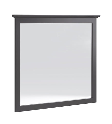 Grace Wall or Dresser Mirror in Raven Black by Modus Furniture at Eve Furniture