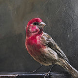 Graceful Poise I (House Finch) by Mercana Studio a Hand Embellished Framed Art Print Matted under Gl by Mercana at Eve Furniture