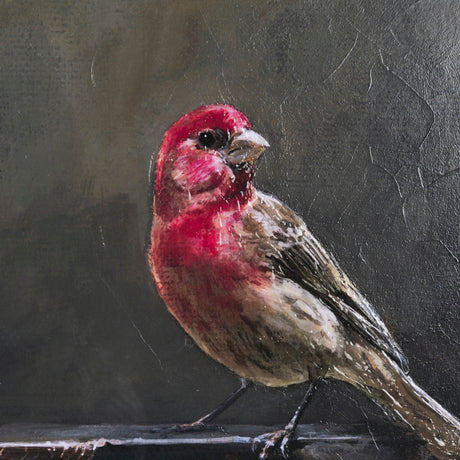 Graceful Poise I (House Finch) by Mercana Studio a Hand Embellished Framed Art Print Matted under Gl by Mercana at Eve Furniture