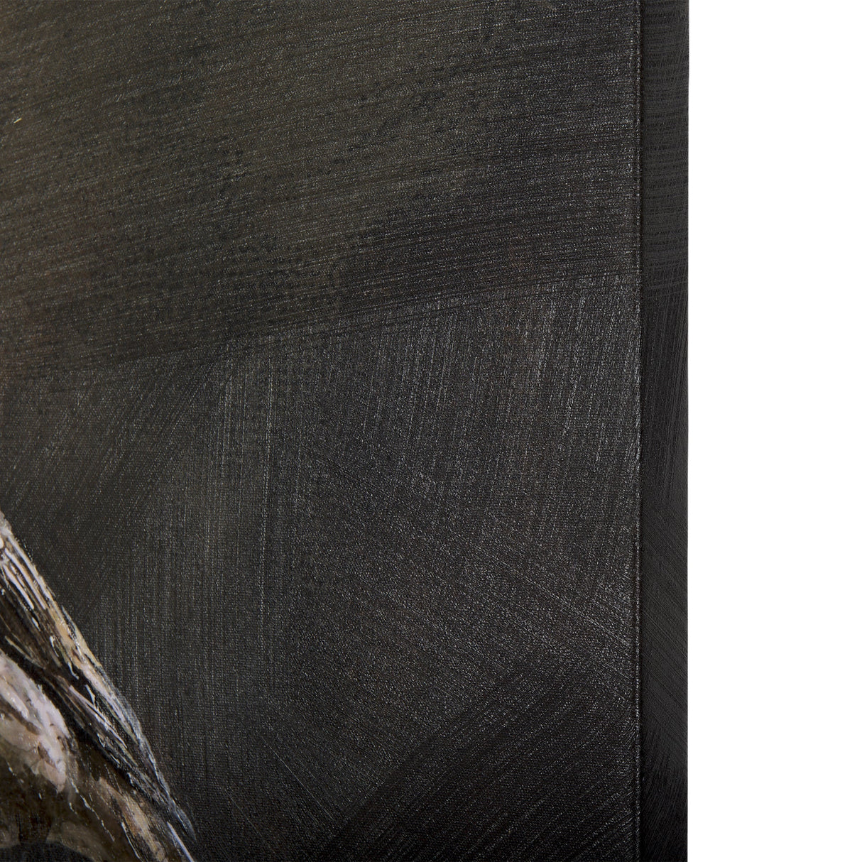 Graceful Poise I (House Finch) by Mercana at Eve Furniture