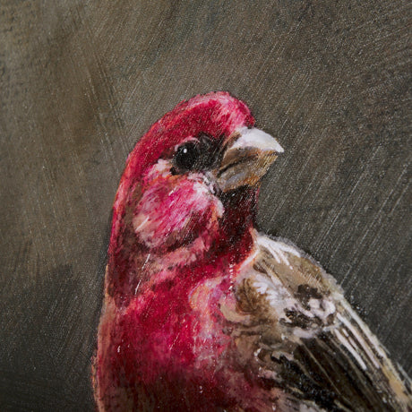 Graceful Poise I (House Finch) by Mercana at Eve Furniture