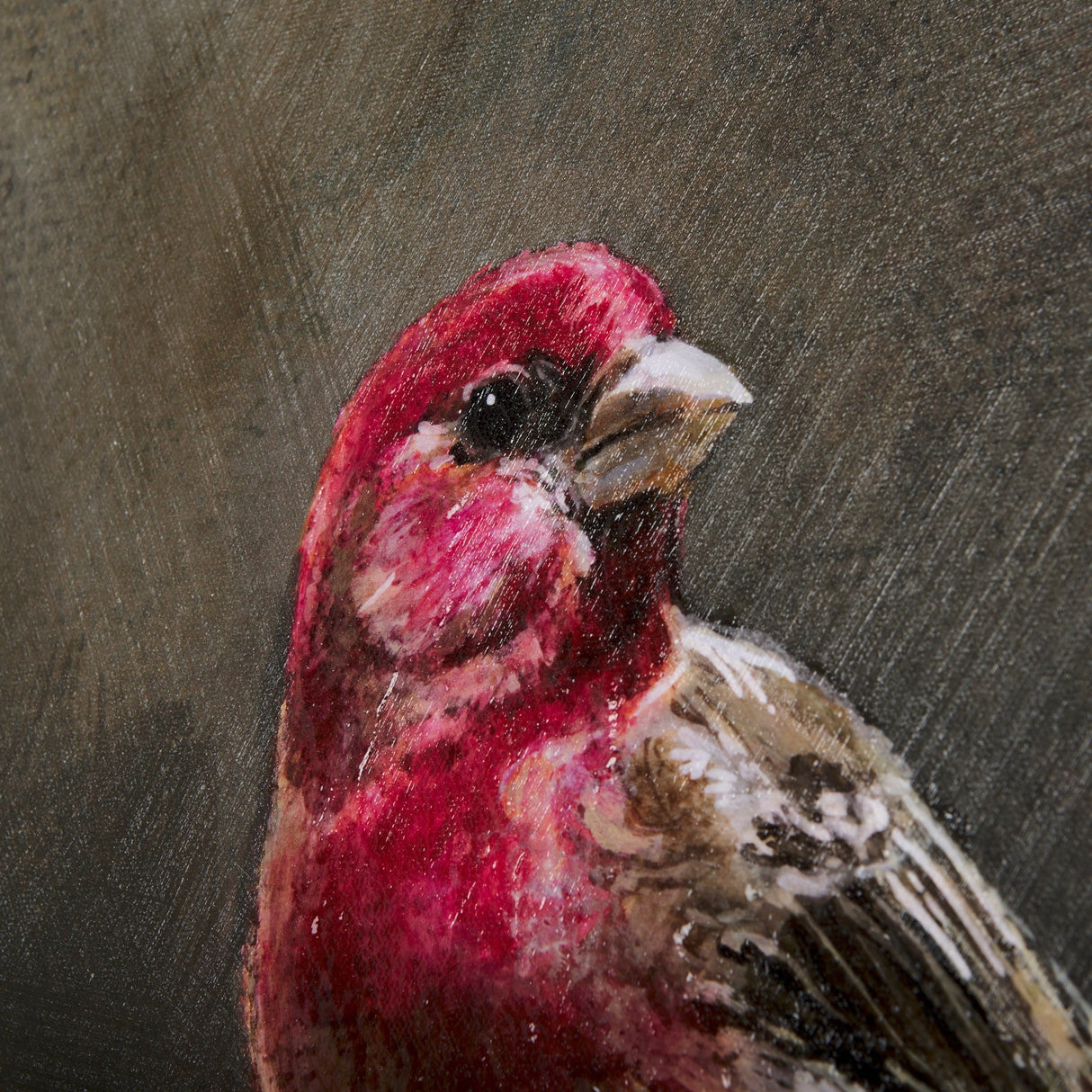 Graceful Poise I (House Finch) by Mercana at Eve Furniture