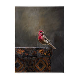 Graceful Poise I (House Finch) by Mercana at Eve Furniture