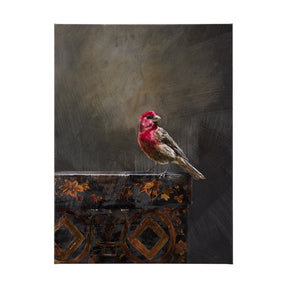 Graceful Poise I (House Finch) by Mercana at Eve Furniture