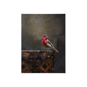Graceful Poise I (House Finch) by Mercana at Eve Furniture