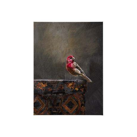 Graceful Poise I (House Finch) by Mercana at Eve Furniture