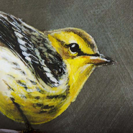 Graceful Poise III (Bay-Breasted Warbler) by Mercana at Eve Furniture
