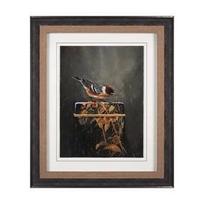 Graceful Poise III (Bay-Breasted Warbler) by Mercana at Eve Furniture