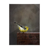 Graceful Poise III (Bay-Breasted Warbler) by Mercana at Eve Furniture