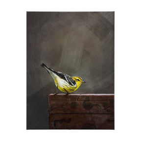 Graceful Poise III (Bay-Breasted Warbler) by Mercana at Eve Furniture