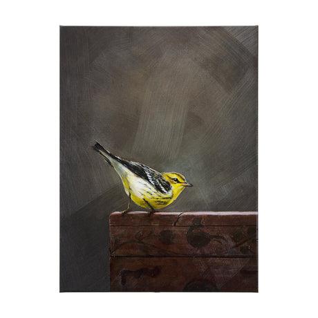 Graceful Poise III (Bay-Breasted Warbler) by Mercana at Eve Furniture