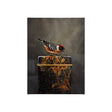 Graceful Poise III (Bay-Breasted Warbler) by Mercana at Eve Furniture