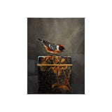 Graceful Poise III (Bay-Breasted Warbler) by Mercana at Eve Furniture