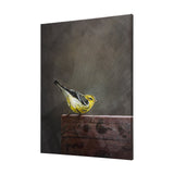 Graceful Poise IV (Blackburnian Warbler) by Mercana at Eve Furniture