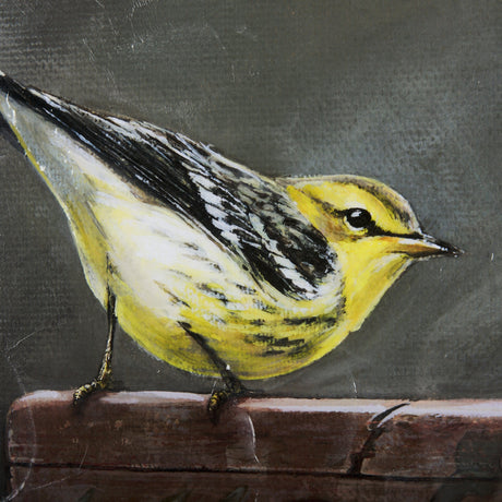 Graceful Poise IV (Blackburnian Warbler) by Mercana at Eve Furniture