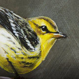 Graceful Poise IV (Blackburnian Warbler) by Mercana at Eve Furniture