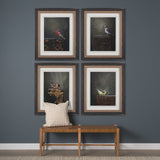 Graceful Poise IV (Blackburnian Warbler) by Mercana at Eve Furniture