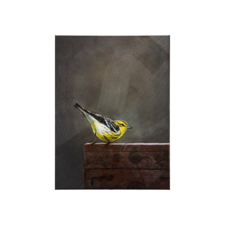 Graceful Poise IV (Blackburnian Warbler) by Mercana at Eve Furniture