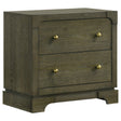 Gran Park Dark Cocoa 2-drawer Nightstand Bedside Table by Coaster at Eve Furniture