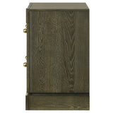 Gran Park Dark Cocoa 2-drawer Nightstand Bedside Table by Coaster at Eve Furniture