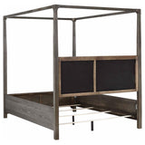 Gran Park Dark Cocoa 5-Piece Queen Bedroom Set by Coaster at Eve Furniture