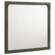 Gran Park Dark Cocoa Dresser Mirror by Coaster at Eve Furniture