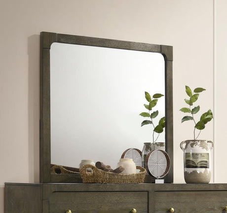 Gran Park Dark Cocoa Dresser Mirror by Coaster at Eve Furniture