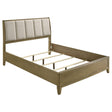 Granada Natural Pine Upholstered Eastern King Panel Bed by Coaster at Eve Furniture