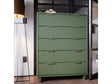 Granville 45.27 Tall Dresser in Sage Green by Manhattan Comfort at Eve Furniture