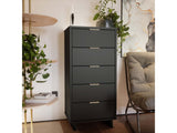 Granville Tall 23.62 Narrow Dresser in Dark Grey by Manhattan Comfort at Eve Furniture
