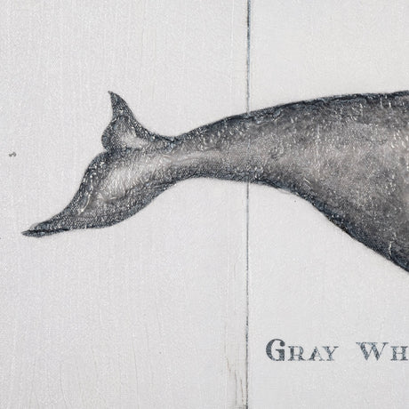 Gray Whale by Mercana Studio a Hand Embellished Textured Canvas by Mercana at Eve Furniture