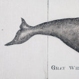 Gray Whale by Mercana Studio a Hand Embellished Textured Canvas by Mercana at Eve Furniture
