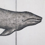 Gray Whale by Mercana Studio a Hand Embellished Textured Canvas by Mercana at Eve Furniture